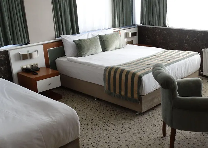 Hotel The Park Hotel Ankara