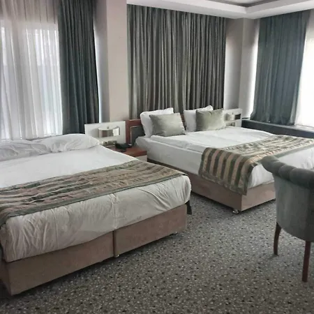فندق The Park Hotel Ankara 4*
