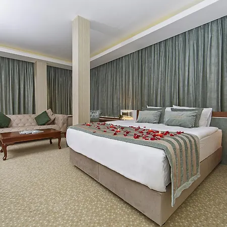 The Park Hotel Ankara מלון