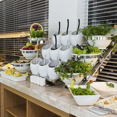 فندق The Park Hotel Ankara 4*