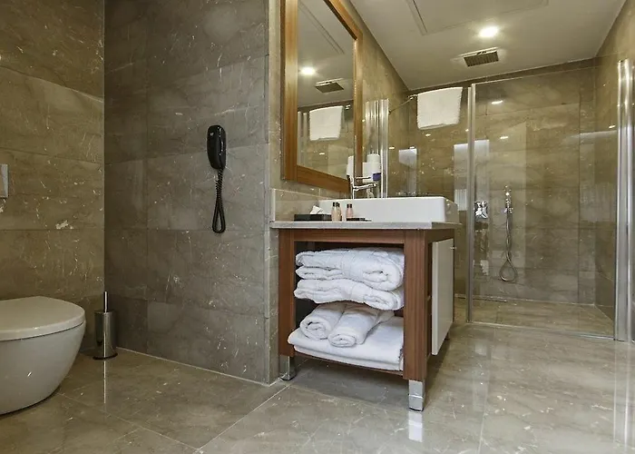 Hotel The Park Hotel Ankara 4*