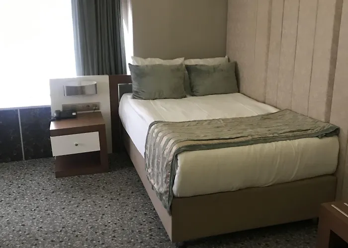 The Park Hotel Ankara ホテル アンカラ