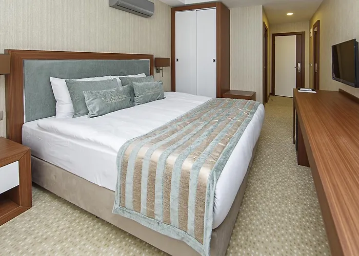 ホテル The Park Hotel Ankara アンカラ