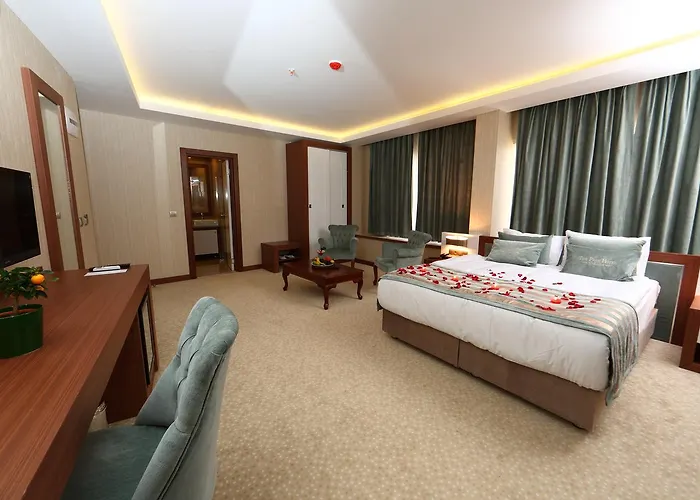 The Park Hotel Ankara فندق