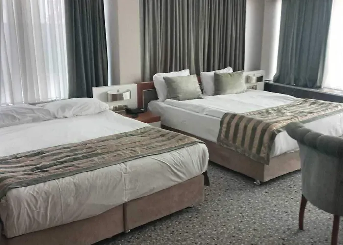 Hotel The Park Hotel Ankara 4*